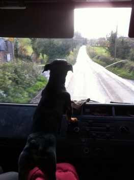 Basil - our chief navigator!!
